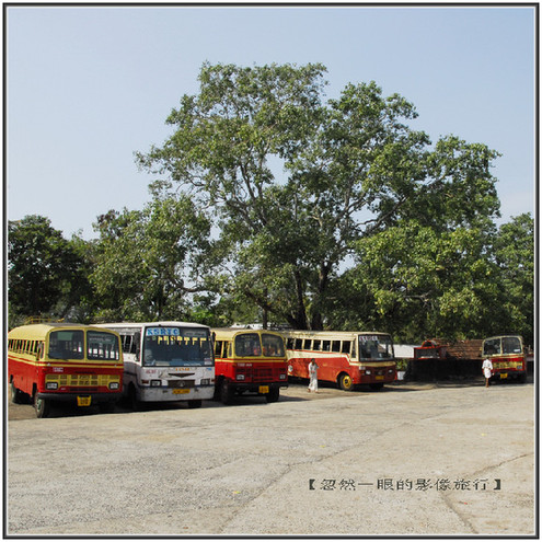 印度交通像廟會 校車很拉風(fēng)(圖)