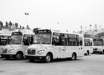 16輛“小鼻子”校車駛入平陰