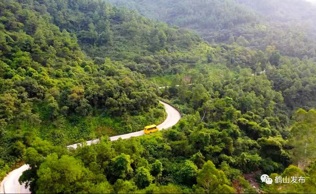 滴！滴！滴！古勞茶山村校車專線開通！