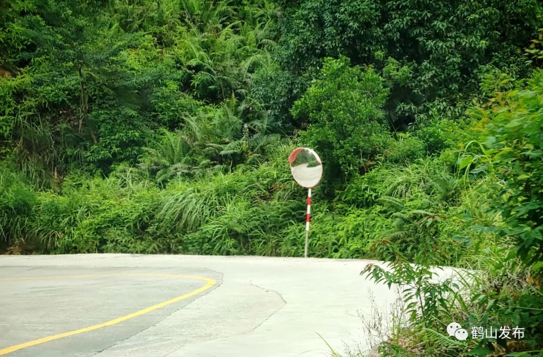 滴！滴！滴！古勞茶山村校車專線開通！
