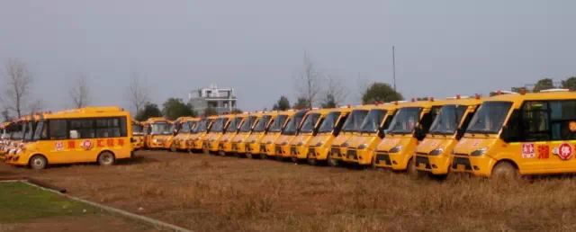 常寧校車運(yùn)營(yíng)調(diào)查：賺足口碑背后的尷尬