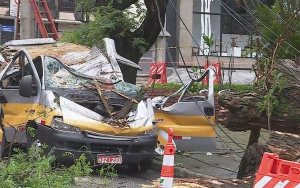 米納斯一校車(chē)被樹(shù)砸中 司機(jī)死前叫喊救孩子
