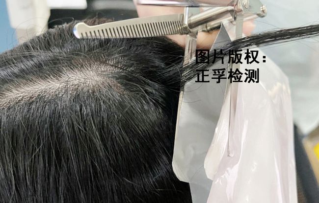校車司機(jī)毛發(fā)檢測