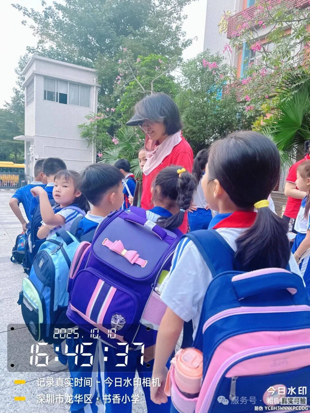 校車安全-駕駛員篇/ 校車安全-駕駛員篇